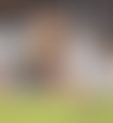 Who won the Tayla Harris deal?