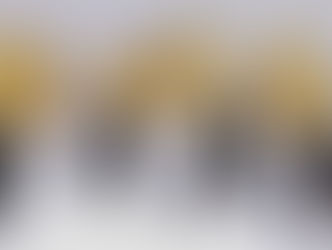 הסתמכות על חוסר ידע