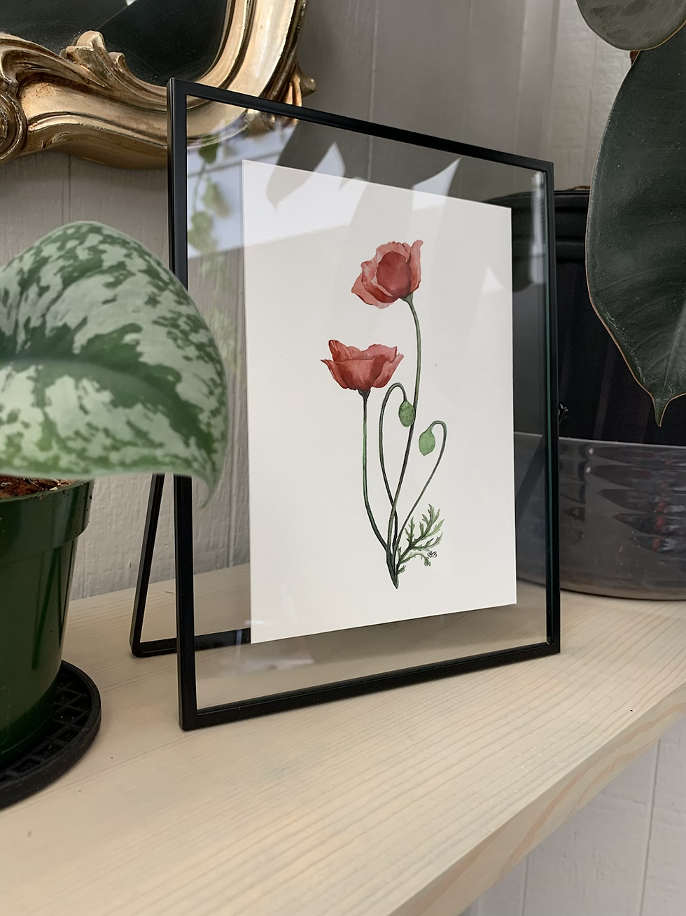 Thumbnail: Poppies