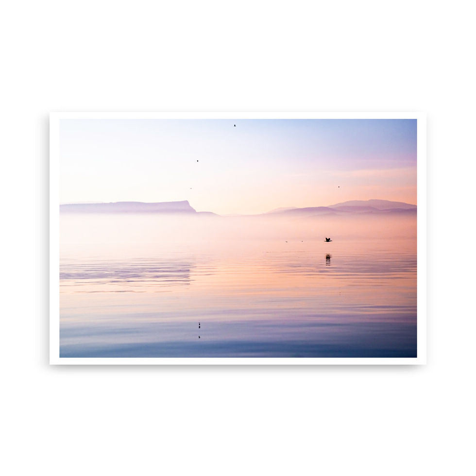 Thumbnail: Poster - Pink sea of Galilee