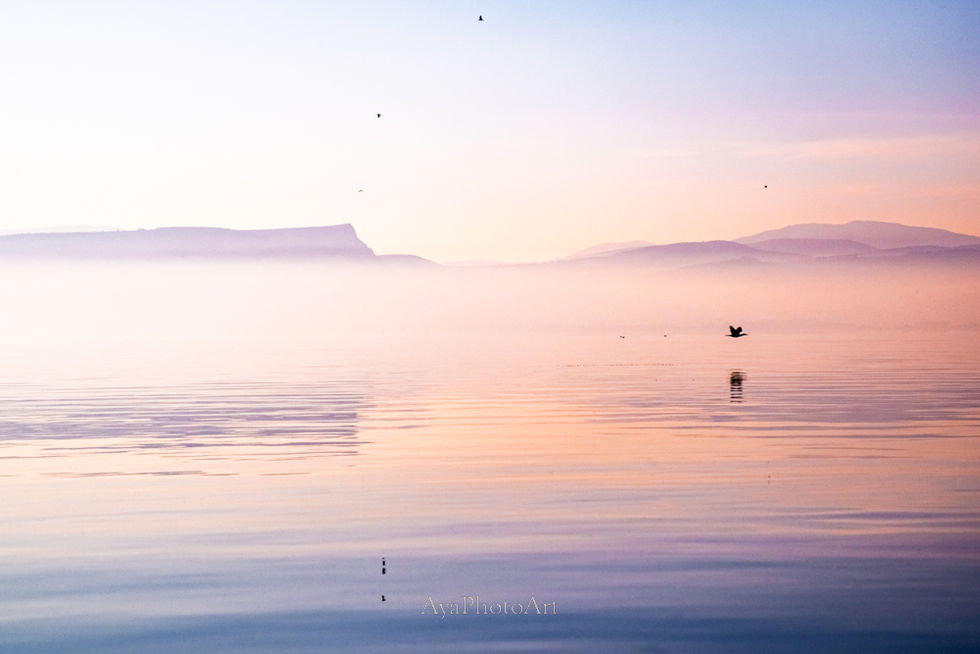 Kineret Arbel and a bird