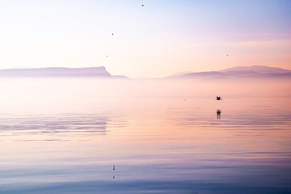תמונה ממוזערת: pink sea of Galilee