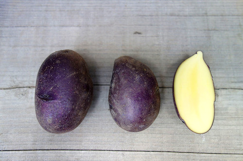 ぷてくん！俵マゼランじゃがいも20㎏ 種じゃがいも）タワラマゼラン 3kg | 竹田かたつむり農園