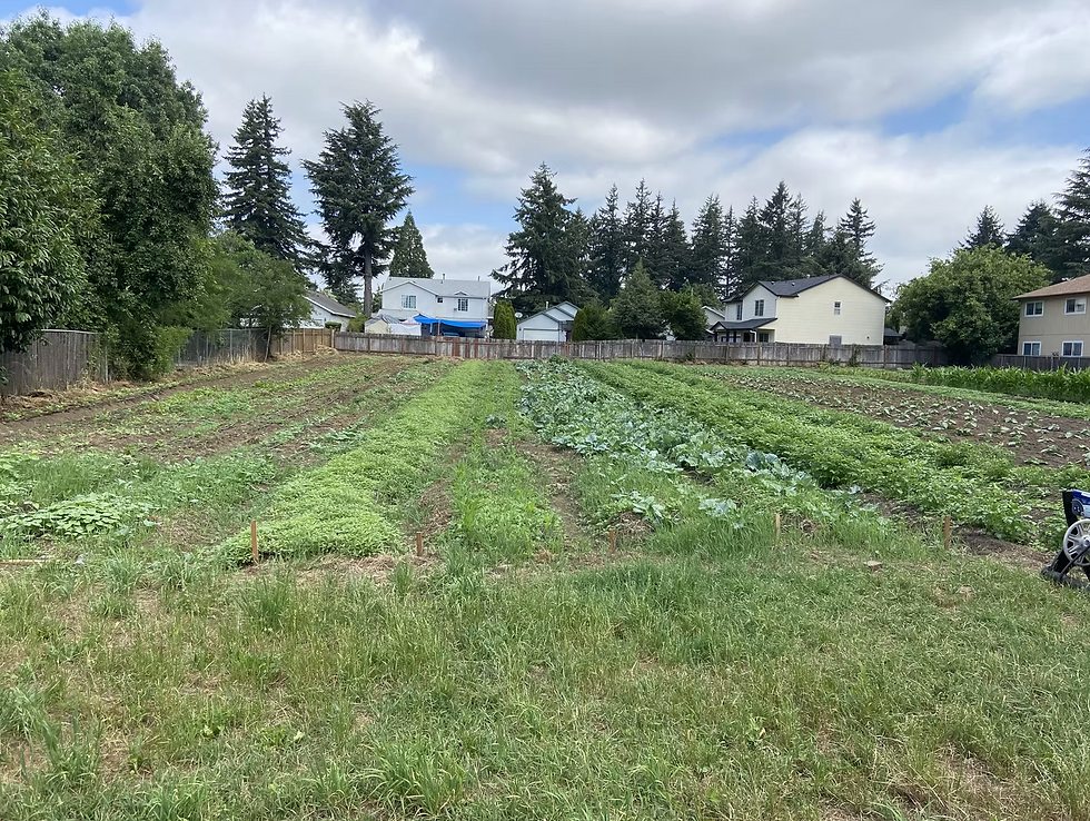 Screen Shot 2025-09-03 at 2.43.15 PM