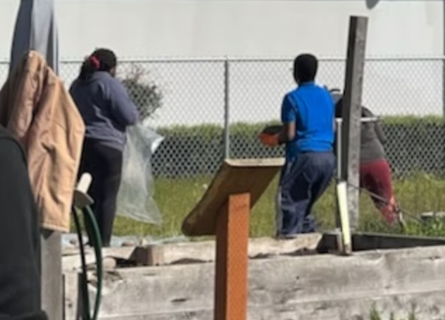 Screen Shot 2025-09-03 at 2.40.21 PM