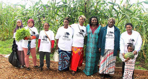 0D1CCE8F-D50D-47CF-9F77-6BBE76079822_edi