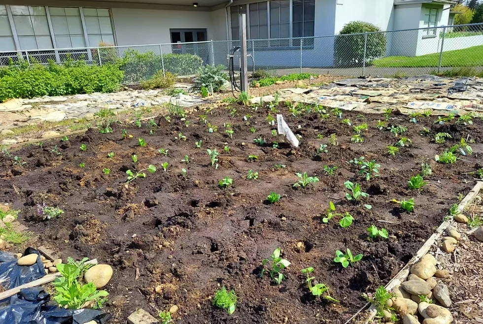 Screen Shot 2025-09-03 at 2.30.11 PM