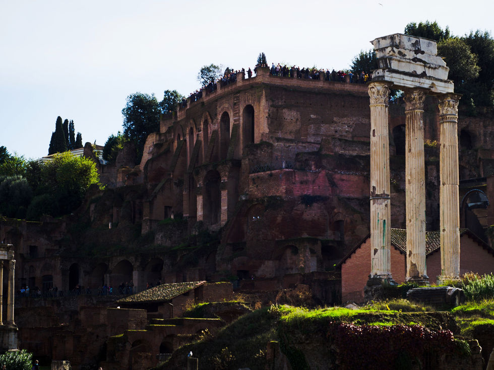 Walking through the Roman Forum is to move through the heart of ancient Rome, where politics, commerce, and religion once shaped an empire. Today, the ruins remain, whispering of power and collapse.