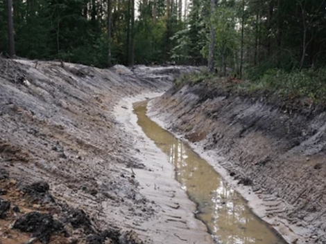 Screen Shot 2023-12-28 at 11.26.58 AM.png