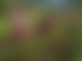 Empowering Women, Enriching Communities: The Transformative Impact of Regenerative Agriculture