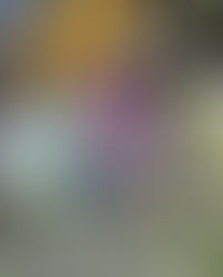 Babysitters Club Nola Field Day Childcare event