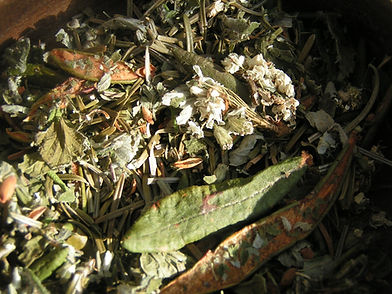 Tisane Du Sourcier : tisane florale et forestière