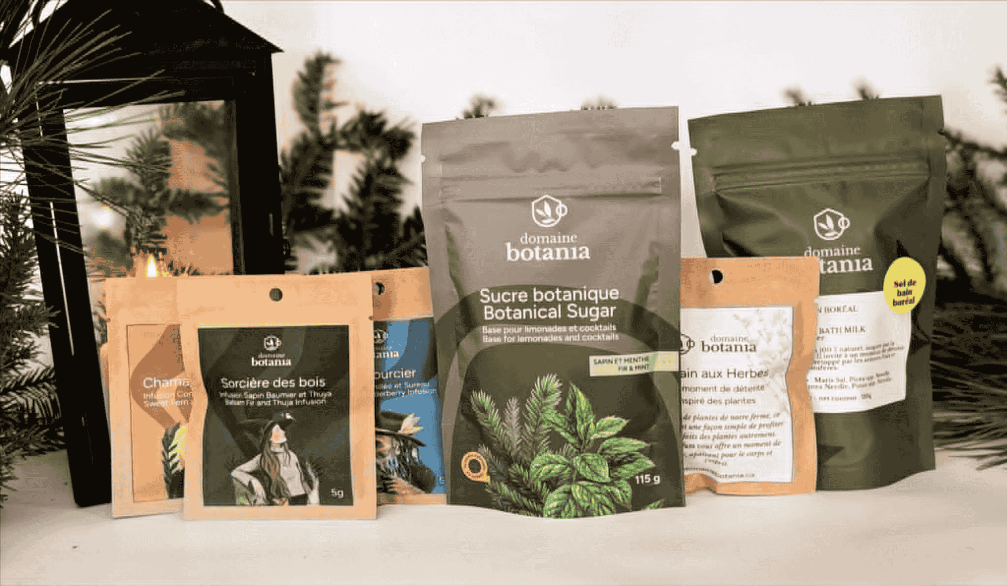 Coffret Forêt Boréale