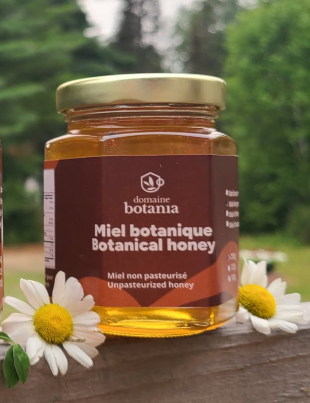 Miel de printemps 250g