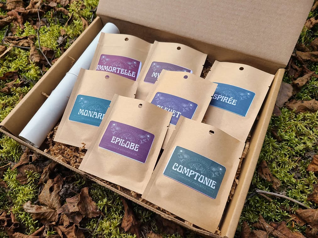 Coffret à la découverte des herbes