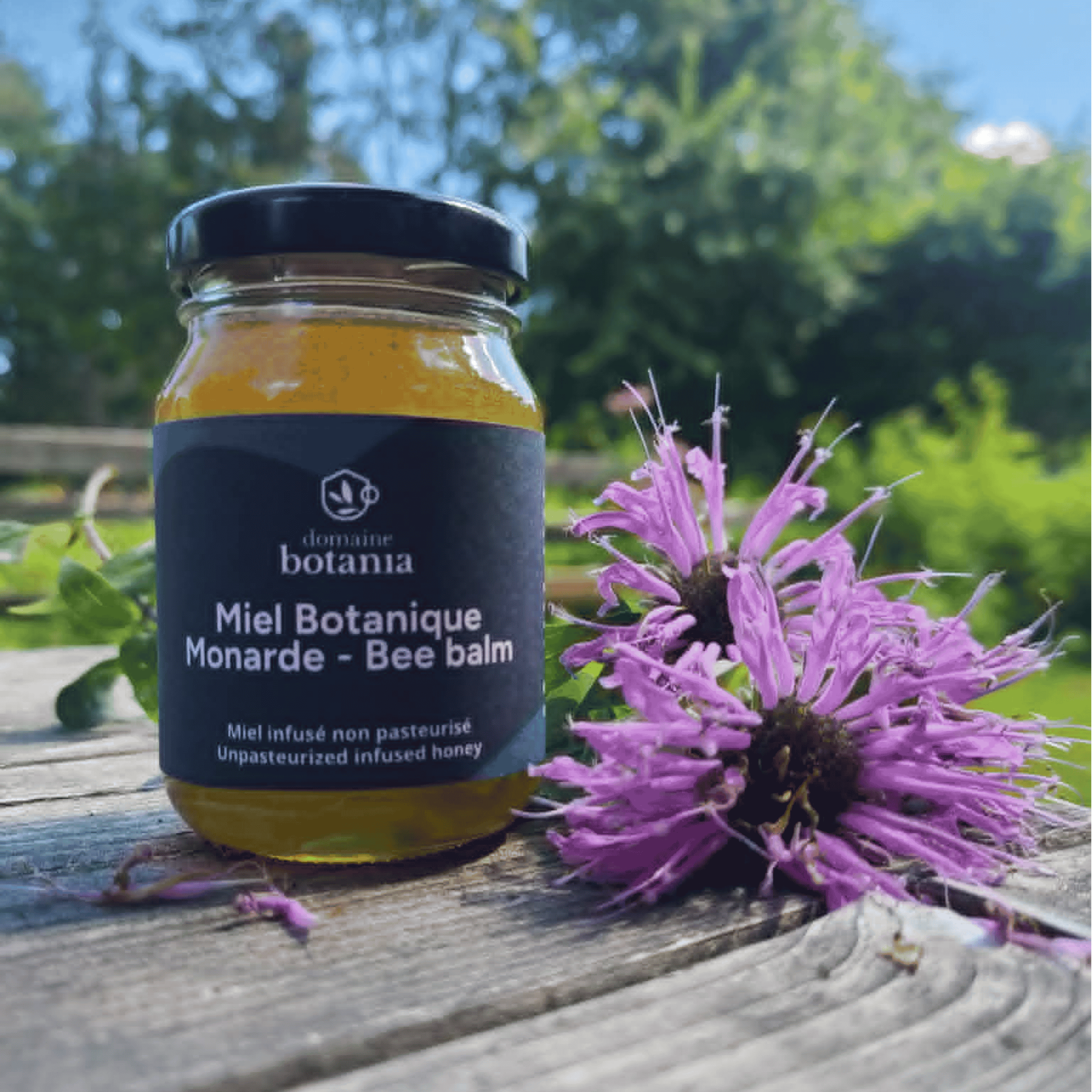 Miel infusé à la monarde 160g
