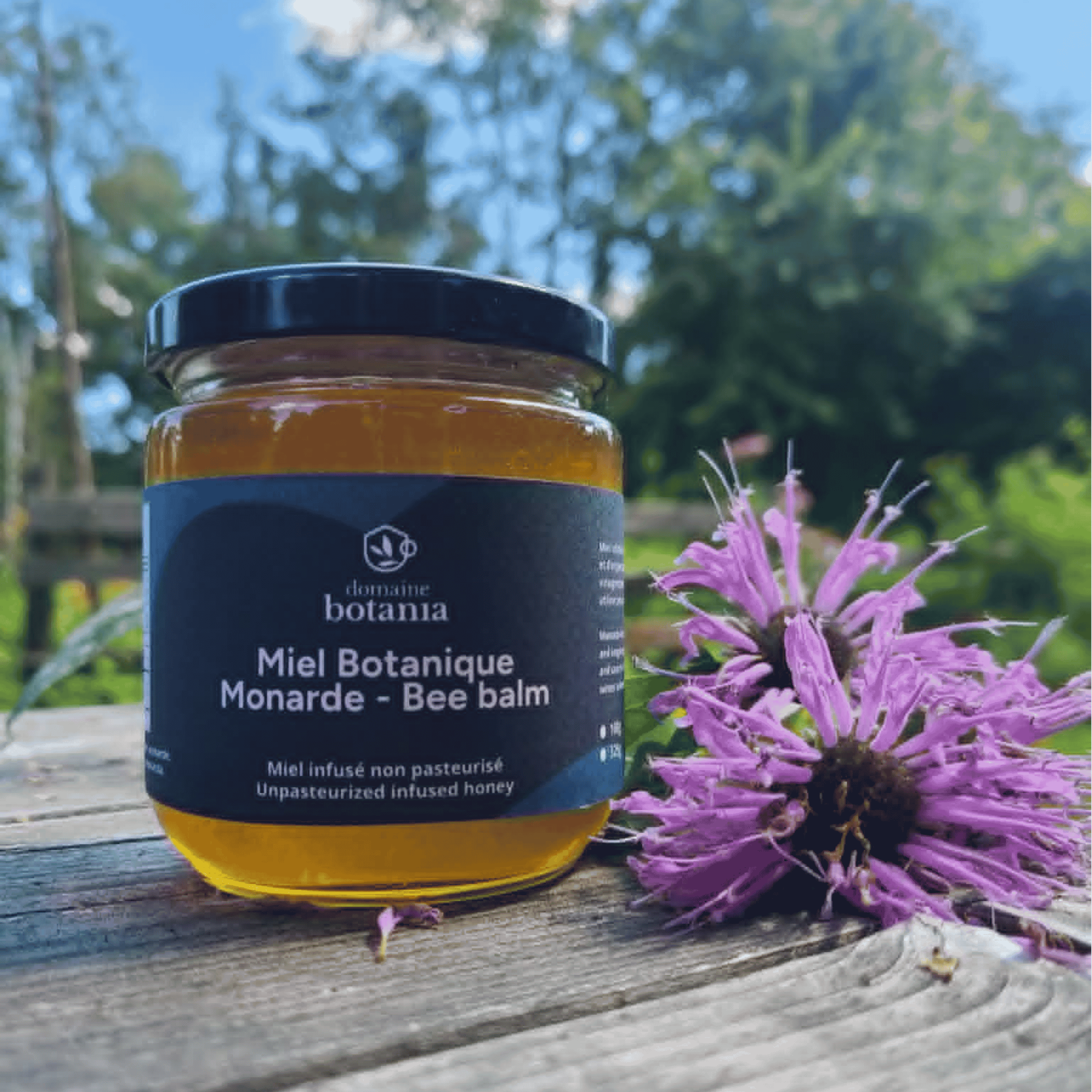 Miel infusé à la monarde 325g