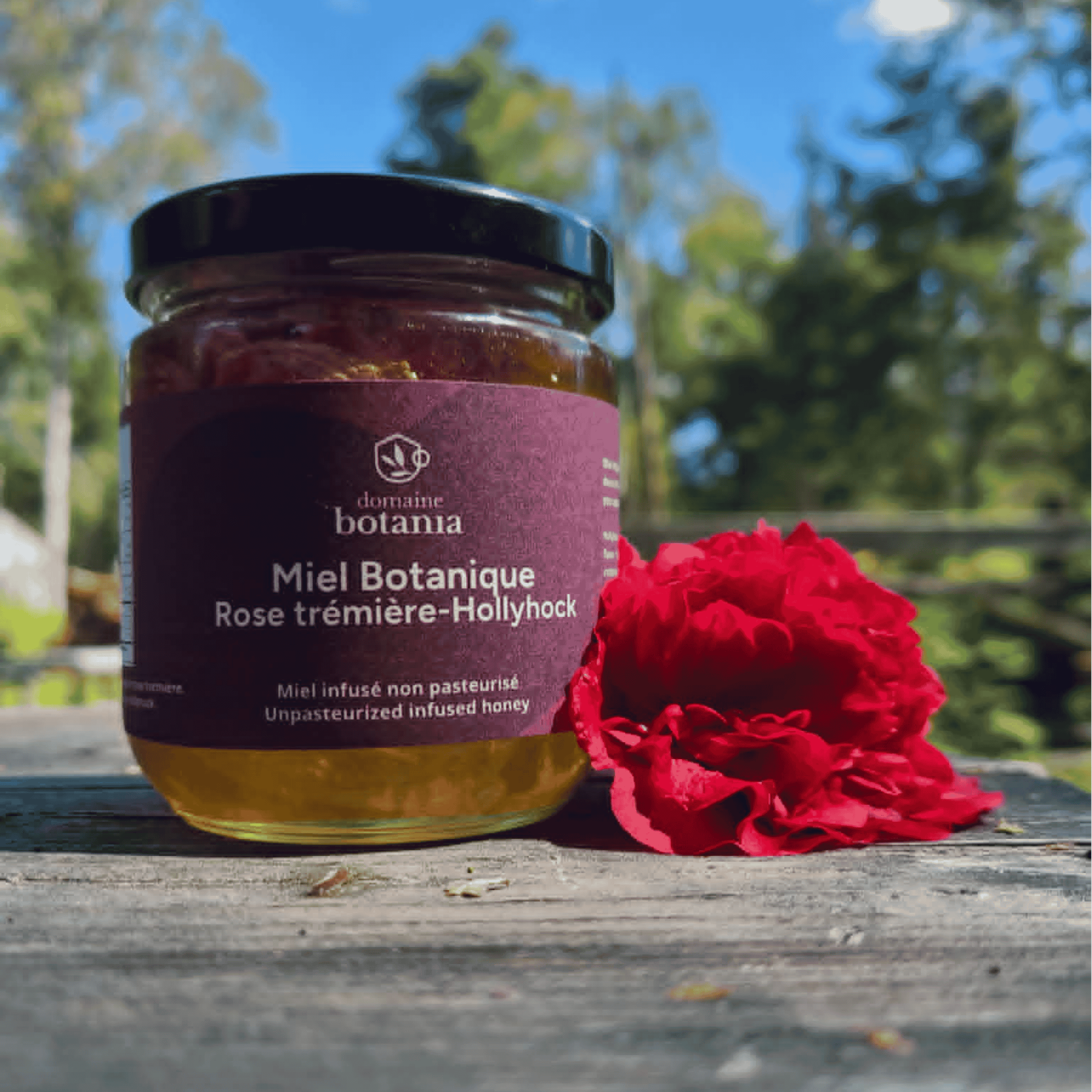Miel infusé à la rose trémière 325g