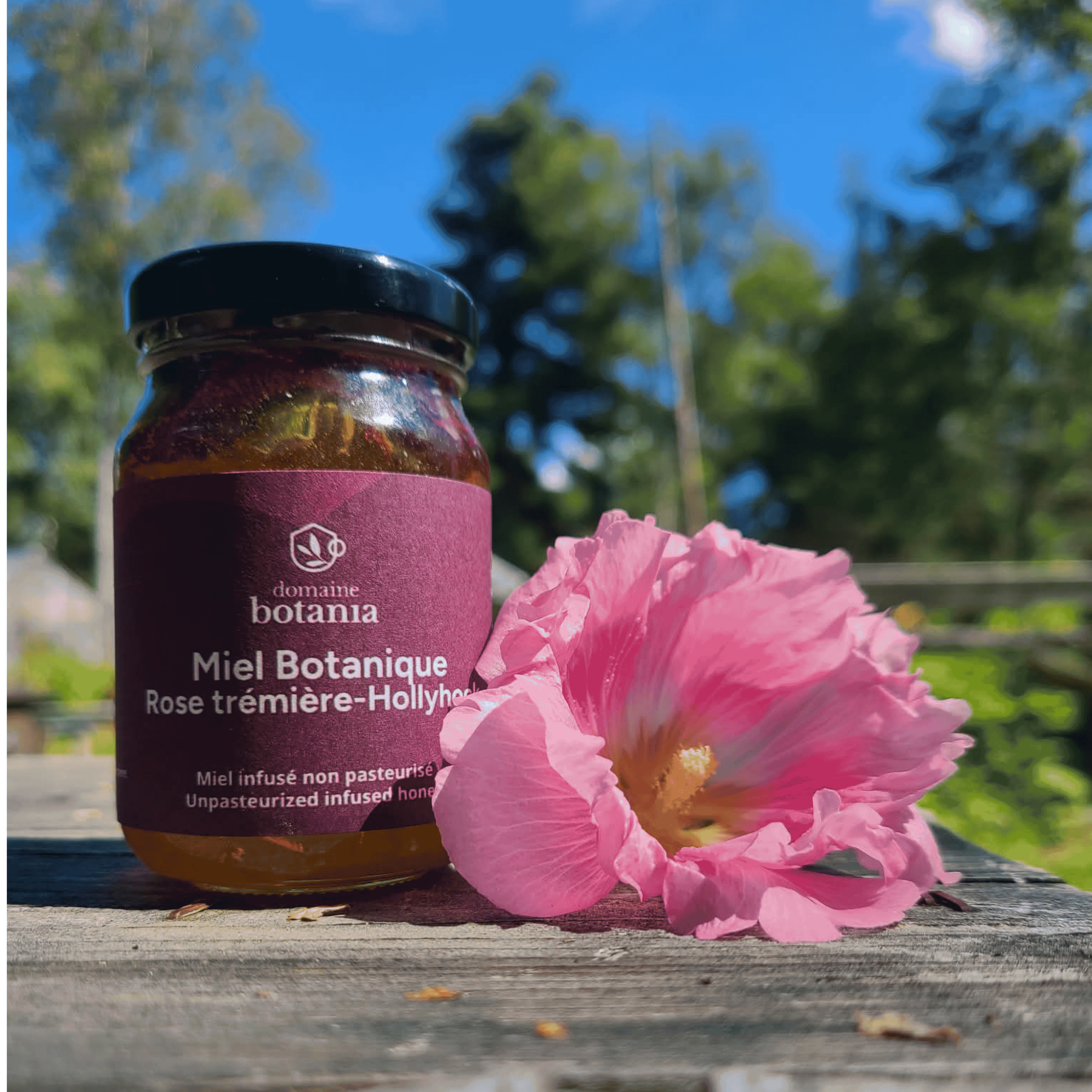 Miel infusé à la rose trémière 160g