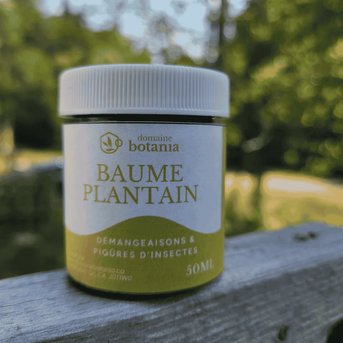 Baume au plantain