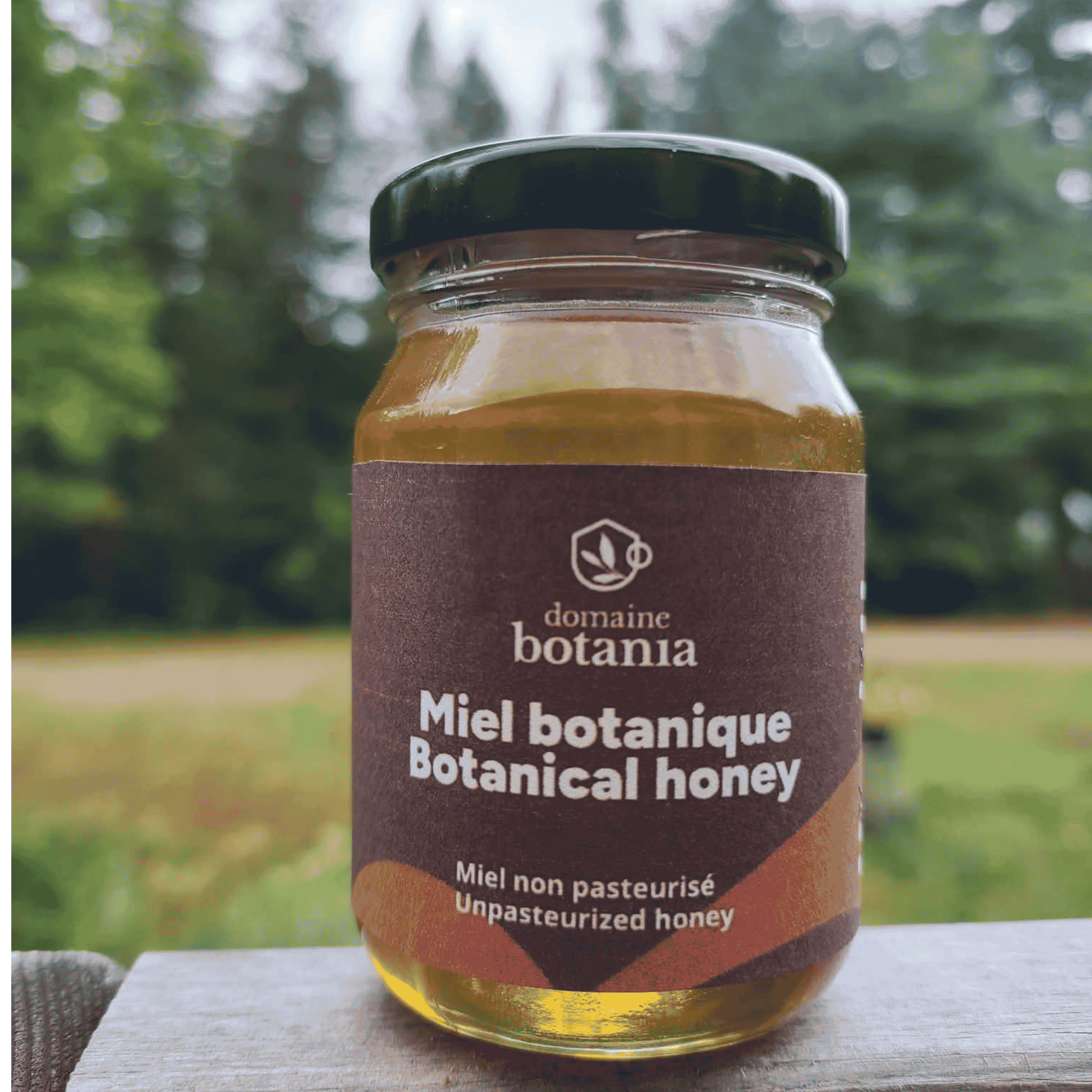 Miel d'été 160g