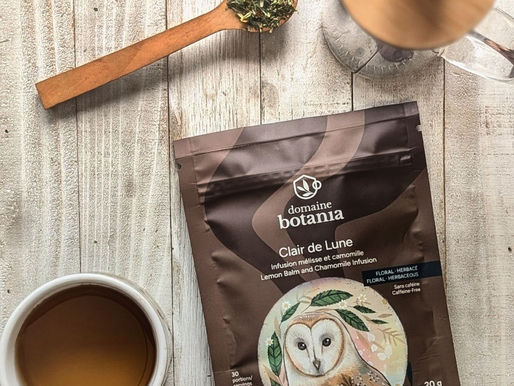 Discover Clair de Lune – Lemon Balm and Chamomile Infusion