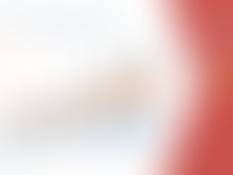 North America Acrylic Elastomers Market Industry forecast 2029