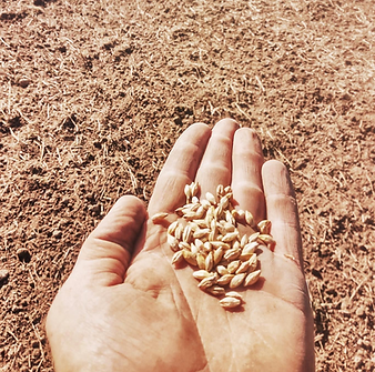 Bildschirmfoto 2023-06-29 um 14.05.05.png