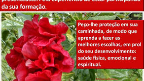 Meu bondoso Pai do Céu, gratidão pelo filho que me presenteaste