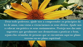 Deus todo poderoso, ajude-nos a compreender os princípios da lei de amor