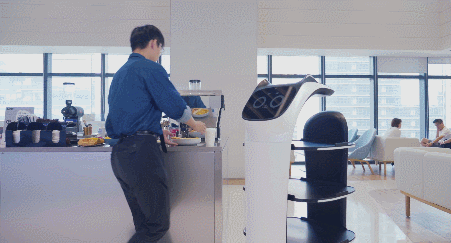 Pudu BellaBot GIF 1.gif