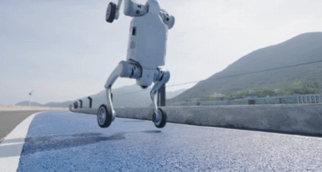Pudu D5 GIF 1.gif