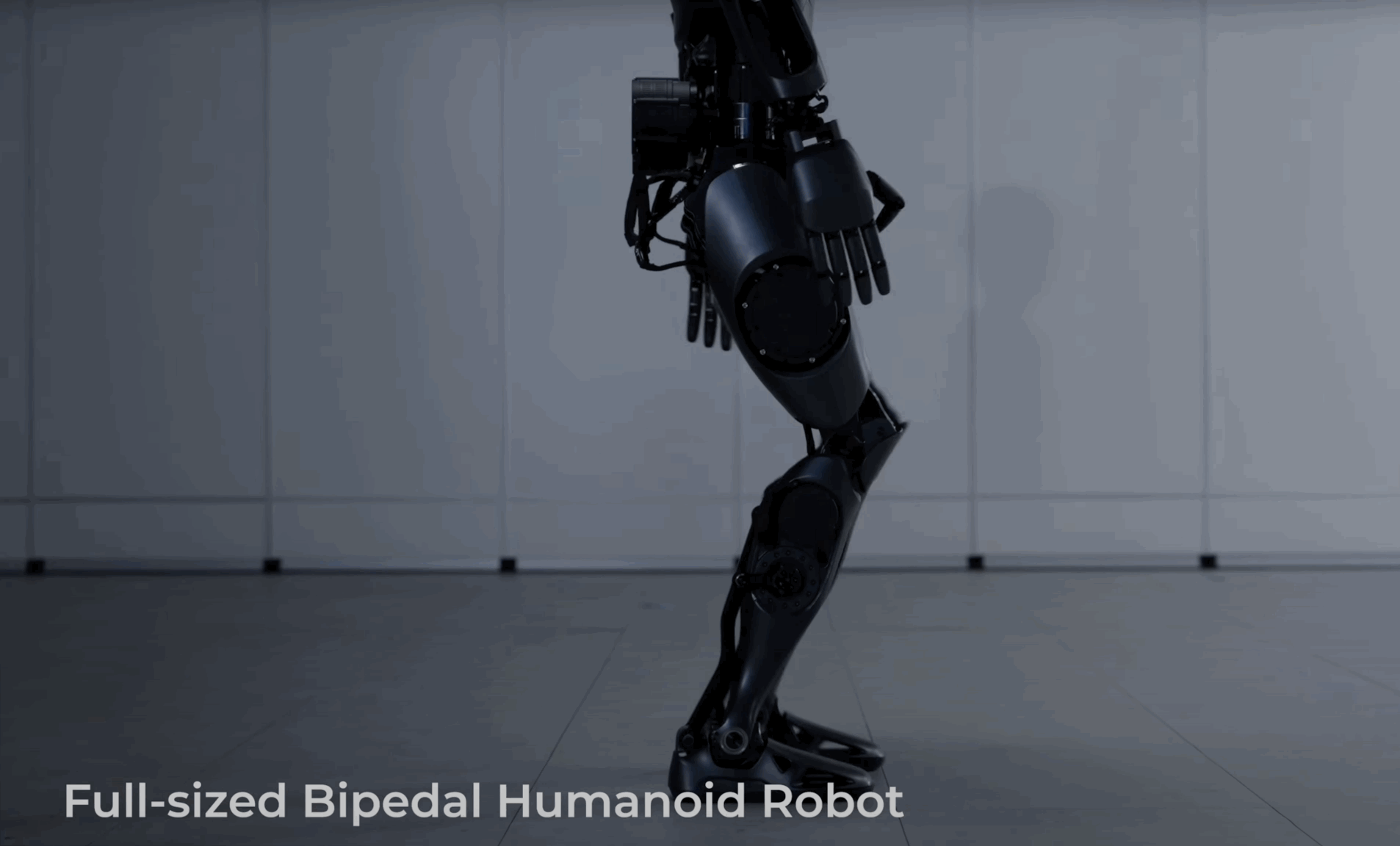 Pudu D9 GIF 1.webp