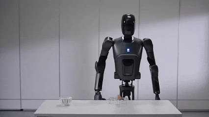Pudu D9 GIF.gif