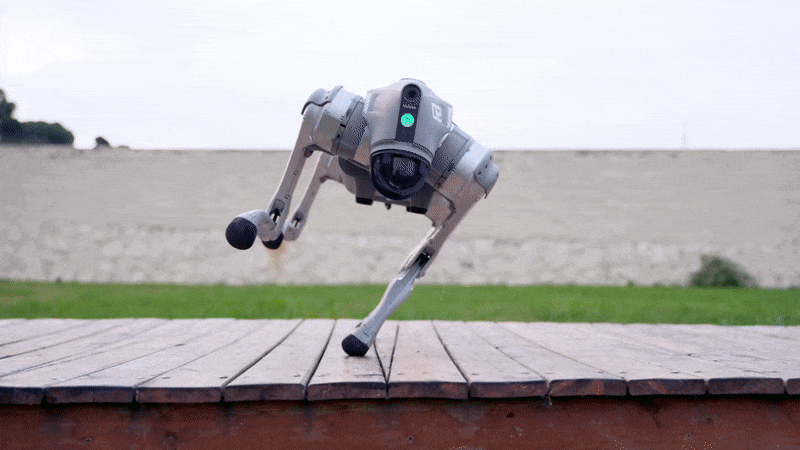 Unitree Go Pro GIF 111.webp