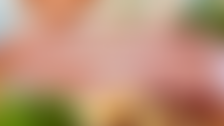 High Protein Foods: Why is protein so important?