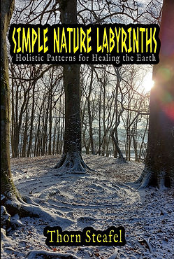 FINAL COVER 4 front.jpg