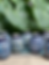 Thumbnail: Florero No.4