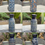 Thumbnail: Botella Saque