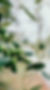 Image-place-portrait.jpg