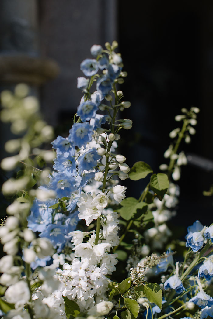 Clementine & George Wiltshire Wedding - Rebecca Goddard Photography-788.jpg