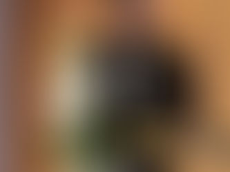 Valtteri Raekallio receives the Uusimaa Art Prize