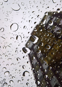 Still Life - Haley Daggett (3 of 2)