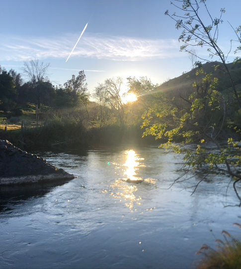 Putah Creek at sunset
