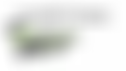 Agender Pride Day 2023