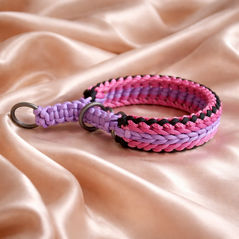 Zughalsband Halsband.png