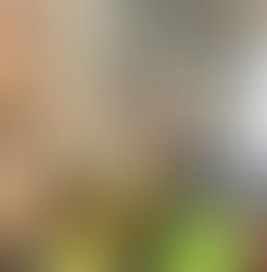 Family Reading Night