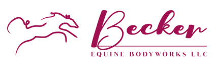 base_logo_transparent_background (1)_edi