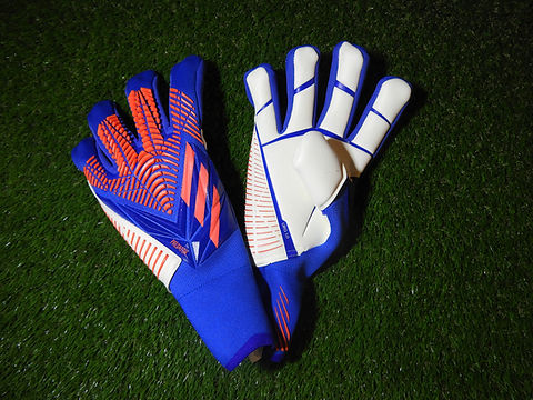 goalkeeper gloves predator pro