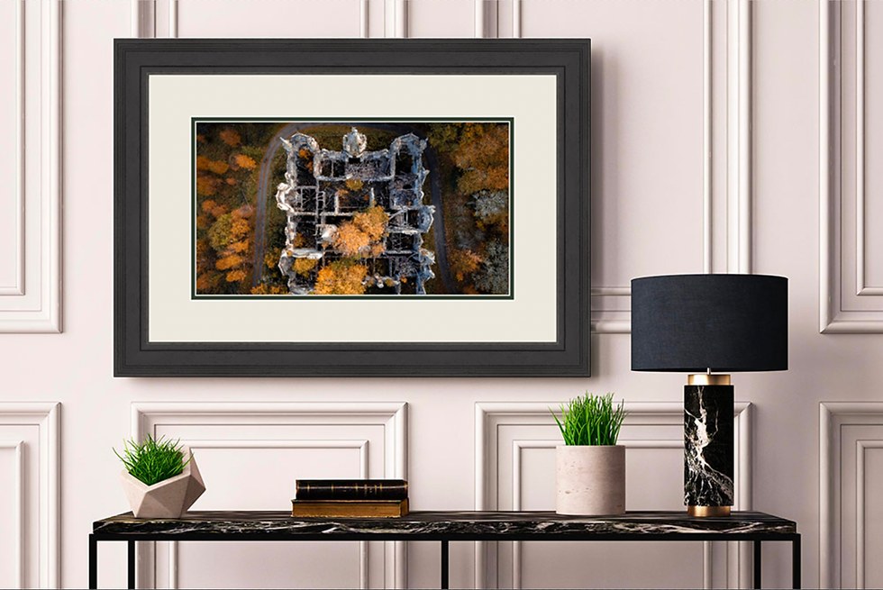 Thumbnail: Framed print